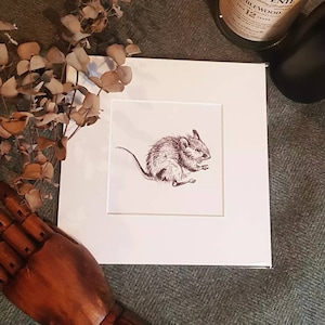 Fieldmouse