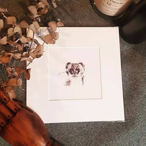 May include: A black and white pen and ink drawing of a weasel, framed in a white mount.