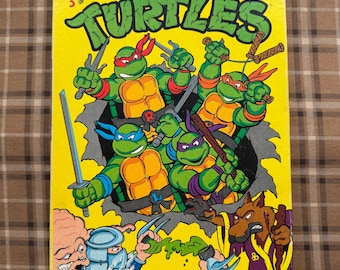 1989 Teenage Mutant Ninja Turtles Coloforms Adventure Set Mirage