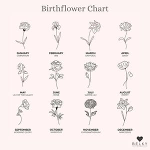May include: A Birthflower Chart featuring twelve black line-art floral illustrations on a pale pink background. Each flower is labeled with its corresponding month and name, including Carnation, Iris, Daffodil, Daisy, Lily of the Valley, Rose, Water Lily, Poppy, Morning Glory, Marigold, Chrysanthemum, and Narcissus. The Belky Mood logo is in the bottom right corner.