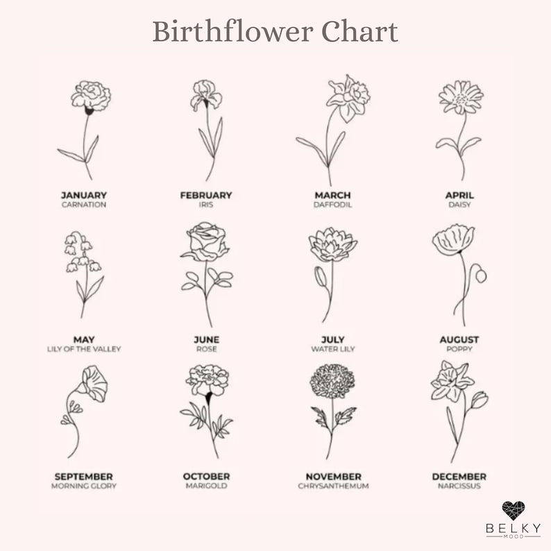 May include: A Birthflower Chart featuring twelve black line-art floral illustrations on a pale pink background. Each flower is labeled with its corresponding month and name, including Carnation, Iris, Daffodil, Daisy, Lily of the Valley, Rose, Water Lily, Poppy, Morning Glory, Marigold, Chrysanthemum, and Narcissus. The Belky Mood logo is in the bottom right corner.