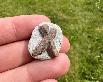 Russisch stauroliet-kruismonster 'X'-stukken