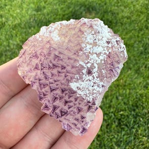 Puede incluir: Un espécimen mineral plano y translúcido que presenta un patrón repetitivo de inclusiones triangulares de color púrpura intenso sobre una base pálida y semitransparente. Un grupo de depósitos minerales cristalinos de color blanco opaco cubre una parte de la superficie.