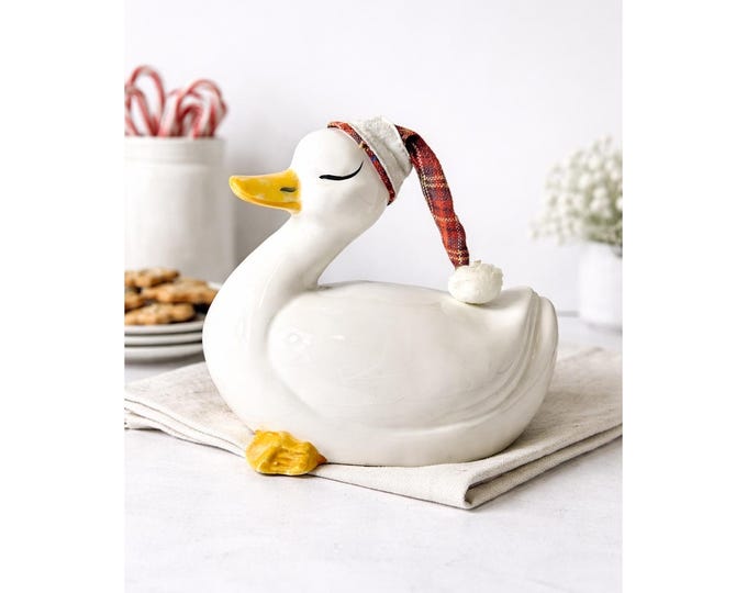 Vintage Sleeping Duck Ceramic Figurine with Night Cap