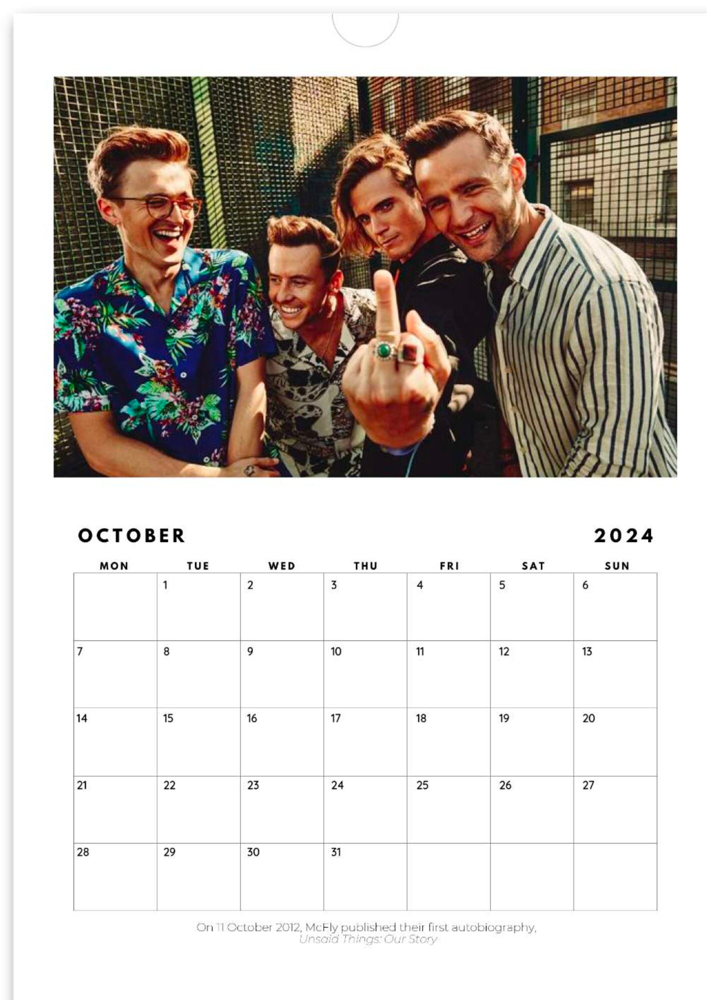 Mcfly 2024 Wall Calendar vertical A4 EUROPE Mcfly Music - Etsy UK