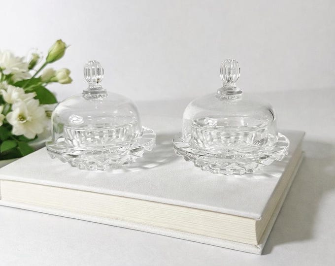 Set of 2 Mikasa Salina Crystal Glass Mini Cloche Butter / Condiment Dishes