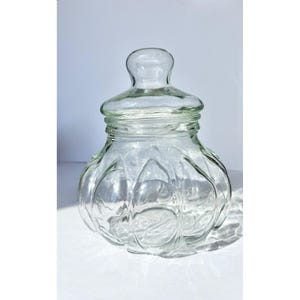 May include: A clear glass jar with a lid. The jar has a rounded, ribbed body and a small, rounded handle on the lid. The jar is sitting on a white surface.
