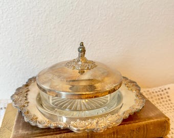 Timeless Silver