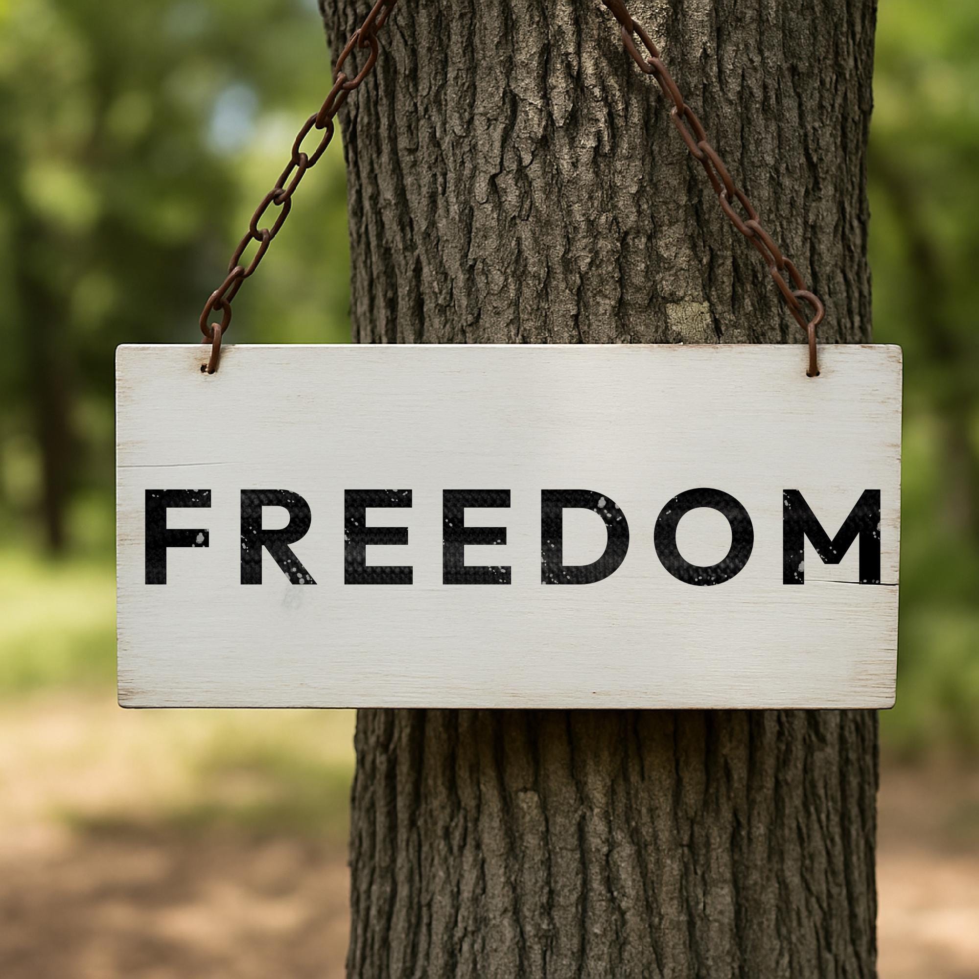 Rustic FREEDOM Wood Sign – Farmhouse Patriotic Decor - Etsy