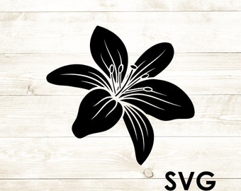 Free Free Lily Flower Svg Free 907 SVG PNG EPS DXF File