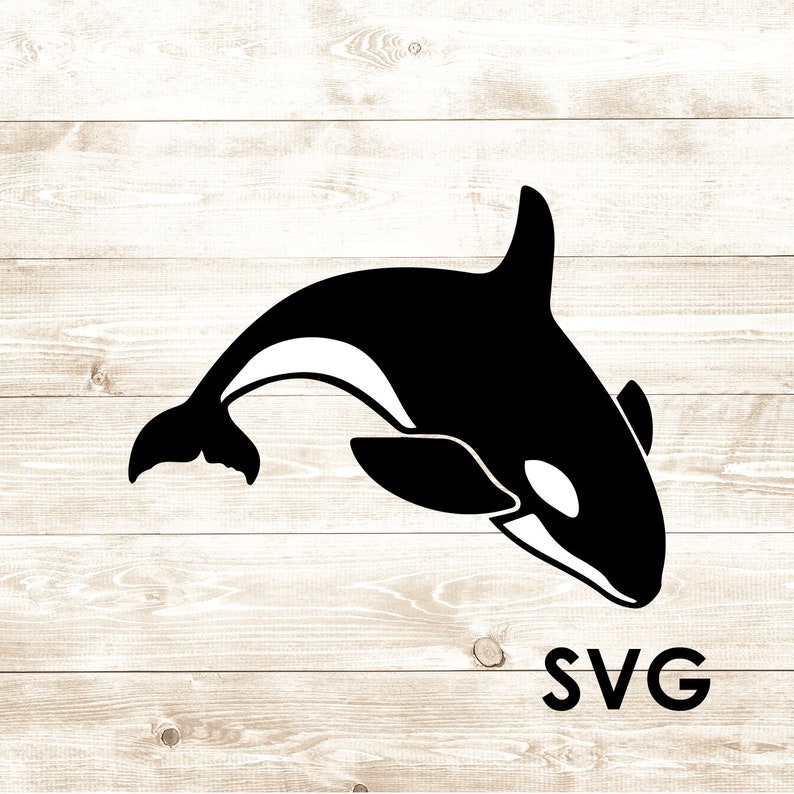 Killer Whale Clipart Vector SVG Cut FIle Digital Download Etsy