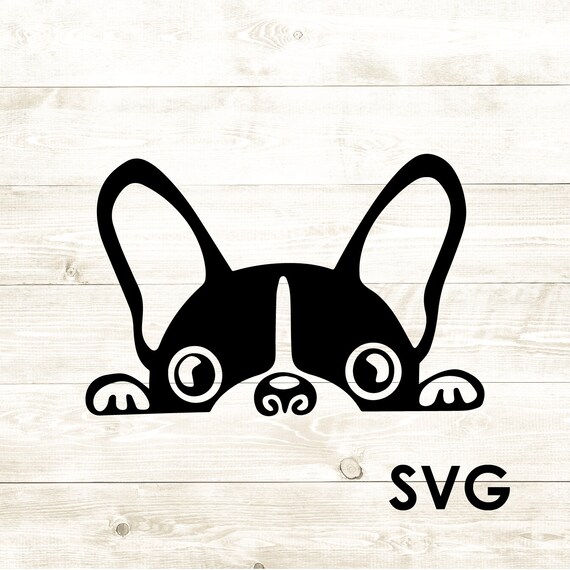 Download Boston Terrier Cute Dog Paw Svg Digital Download Cricut Etsy SVG, PNG, EPS, DXF File