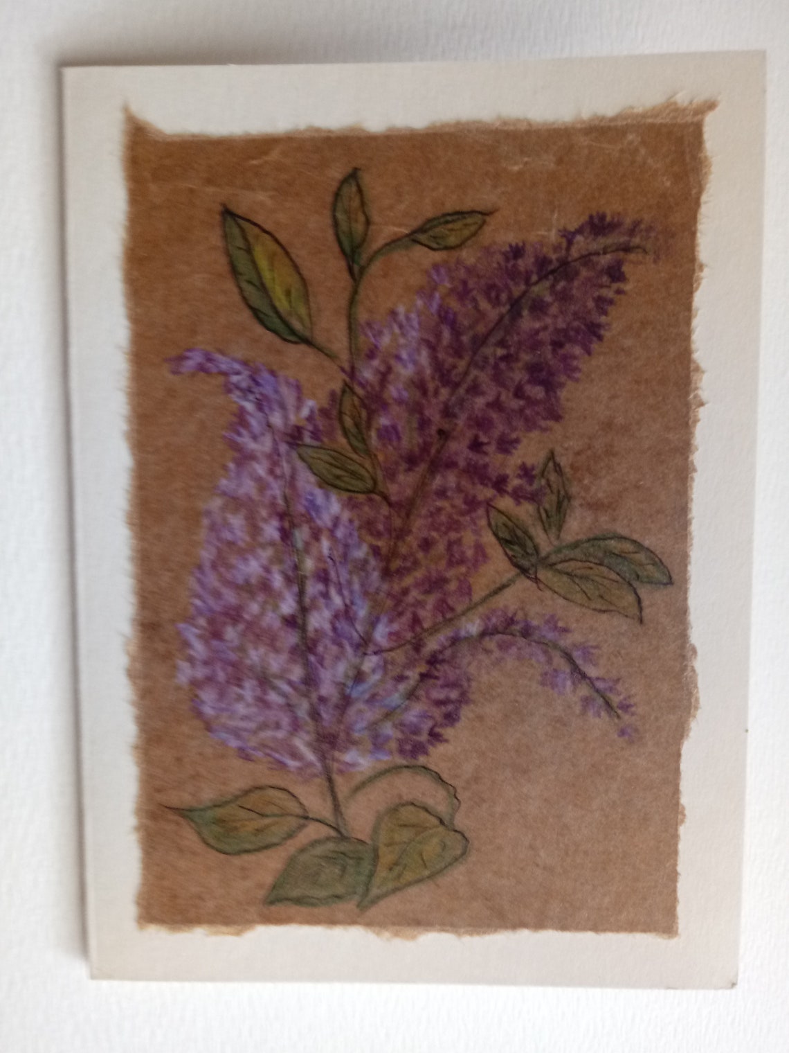 Colored pencil and ink Clearance