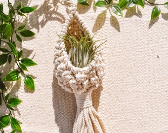 Macramé Plant Pod