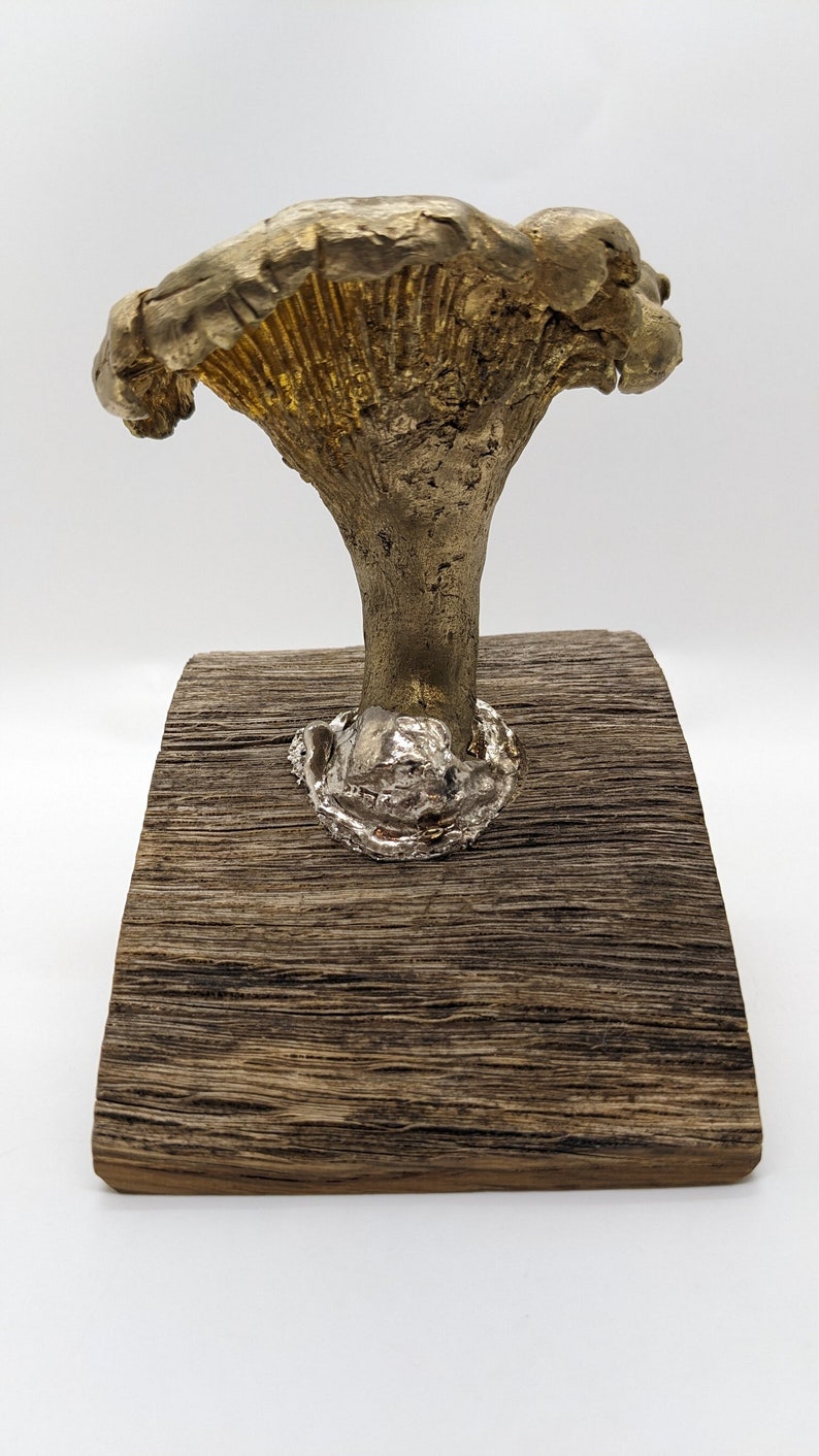 •CHANTERELLE CLUSTER• bronze mushroom ring main image 0