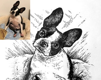 Custom Pen and Ink Pet Portraits Illustrated