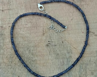 May include: A delicate necklace made with small, dark blue gemstone beads. The necklace has a silver clasp and extender chain.