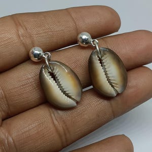 Puede incluir: Un par de pendientes de plata con conchas marrones colgando de ellos. Las conchas tienen un interior blanco y un exterior marrón.