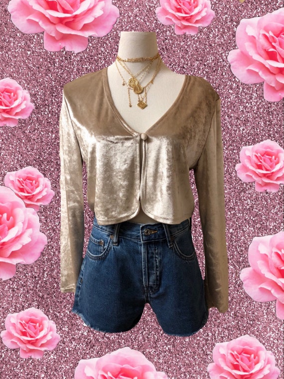 Vintage 90’s Clueless Velvet Long Sleeve Crop Top
