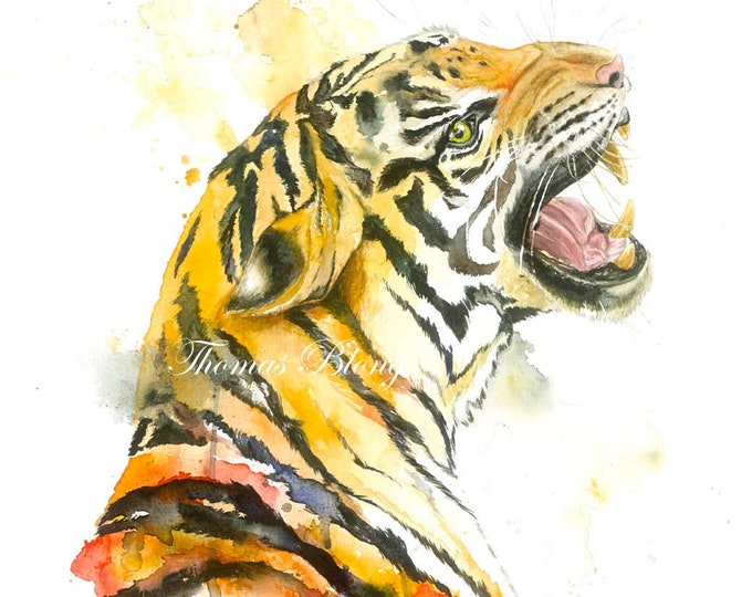 The Tiger
