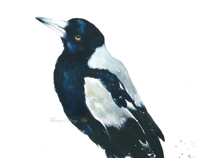 The Magpie
