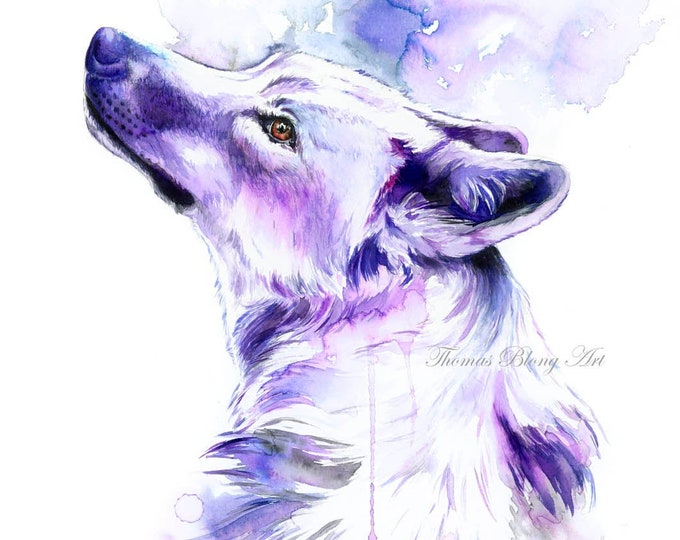 The Lavender Wolf