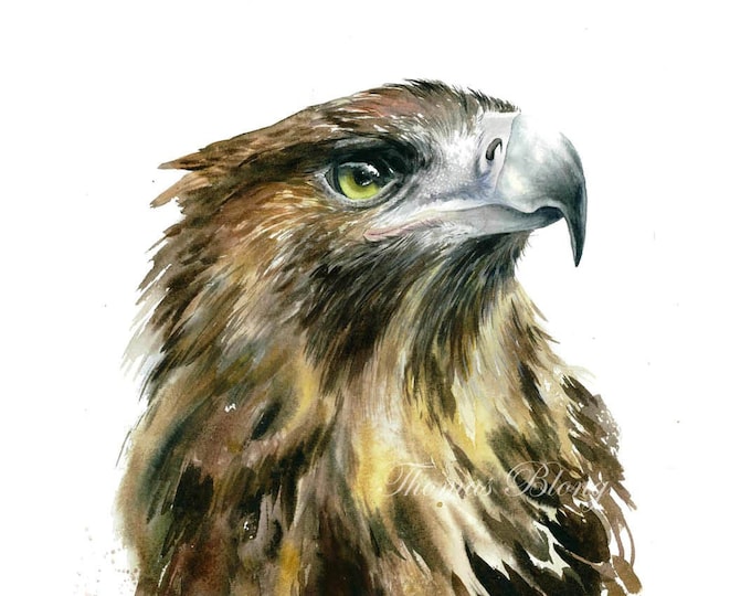 Golden Eagle