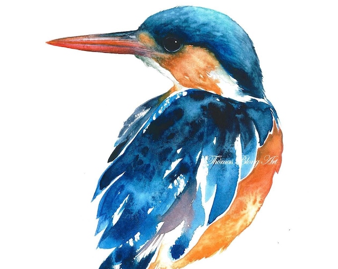 Common Kingfisher