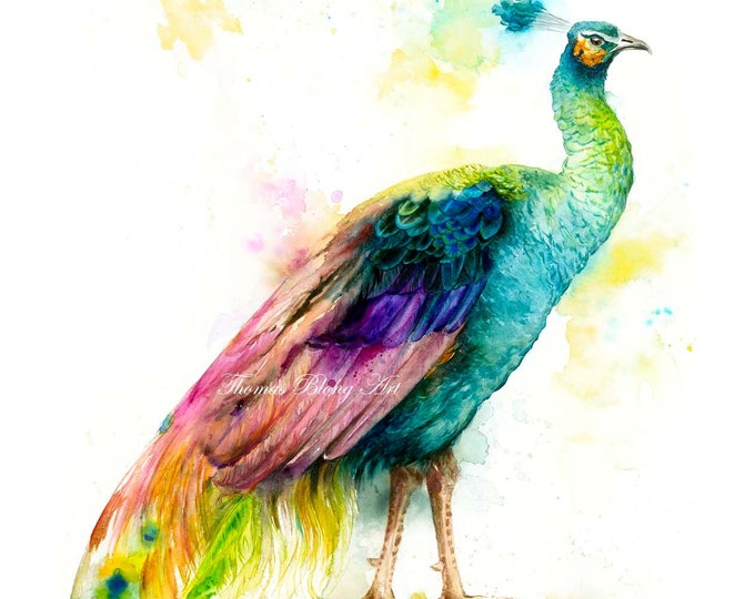 Pride
