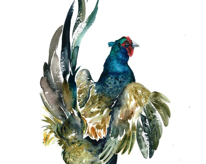 Pheasant