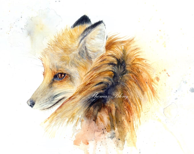The Little Fox