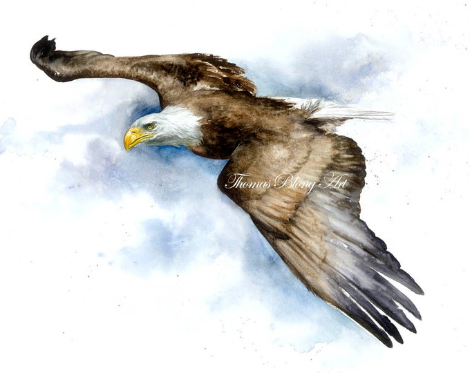 Soaring High