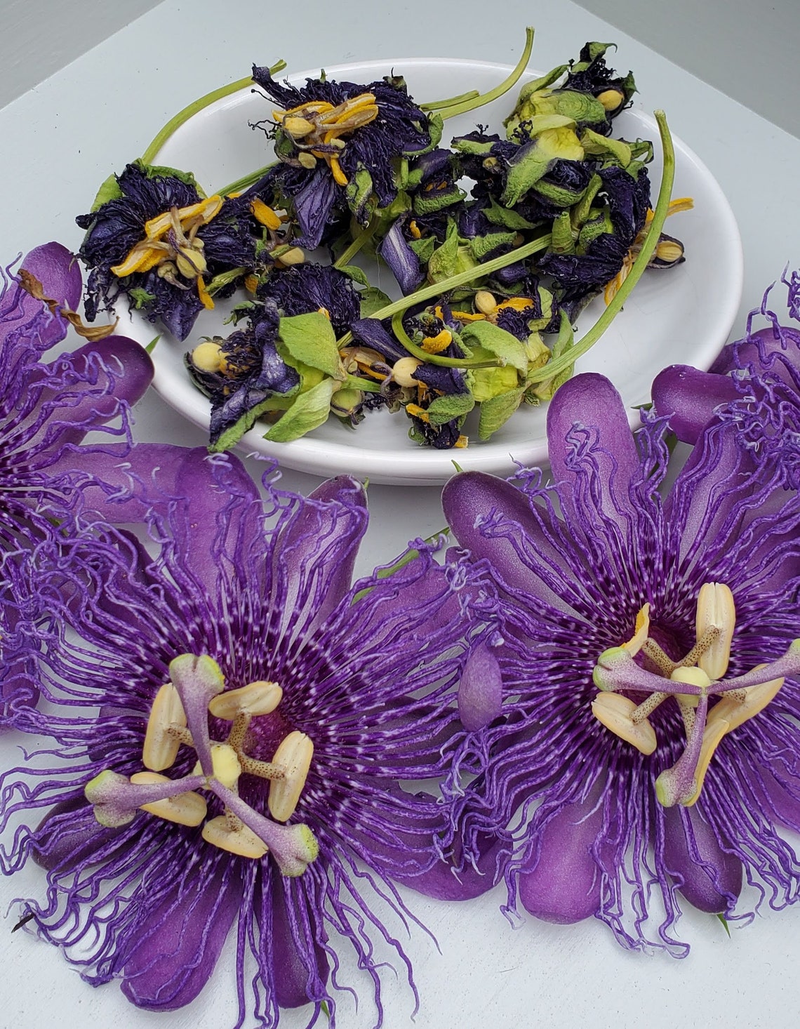 Purple Passion Flowers Dried Whole Flowers Passiflora Etsy