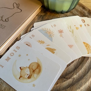 Cartes étapes bébé animaux – Collection Aquarelle Douceur Naturelle (1 à 12 mois)