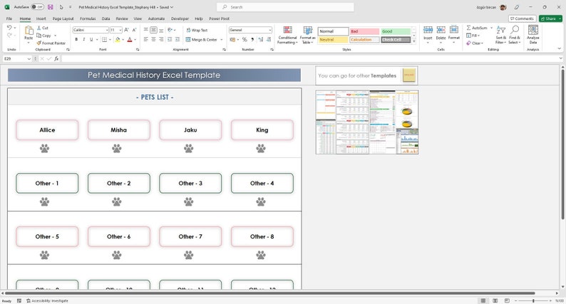 Pet vaccination and medical log spreadsheet template. Pet health records Excel sheet with vet visit details