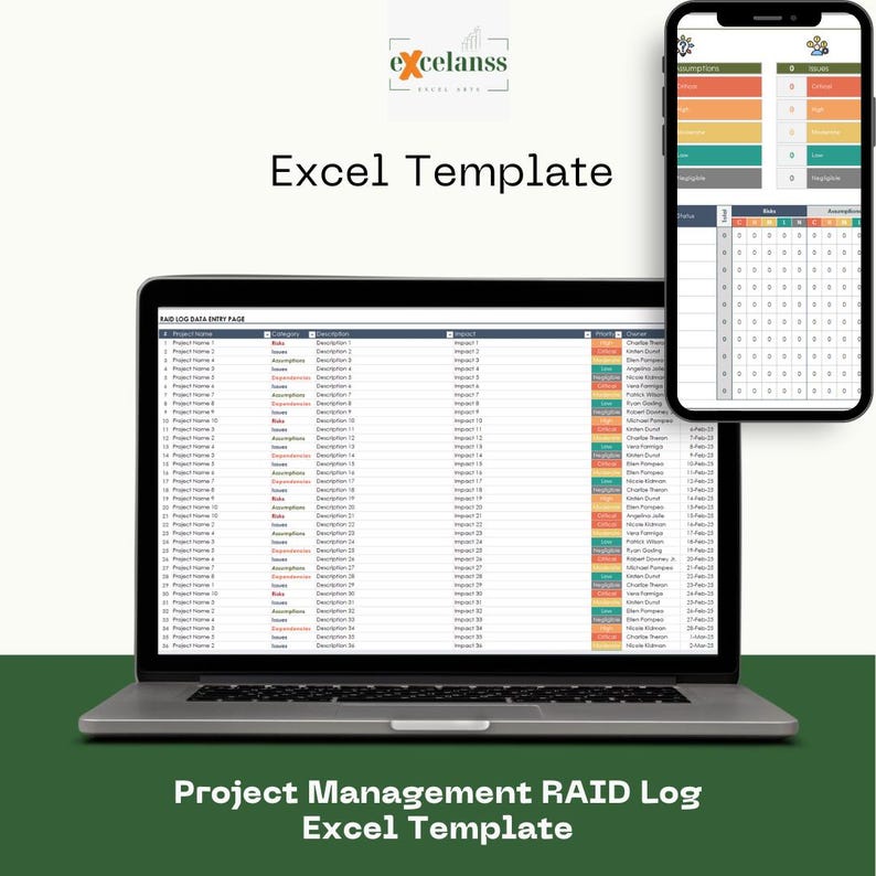 Project Management RAID Log Excel Template: 10-project Tracker (instant ...