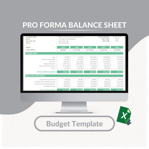 Pro Forma Balance Sheet Excel Template | Business Balance Tracker  | Pro Forma Balance Template | Planner Worksheet | Printable Excel