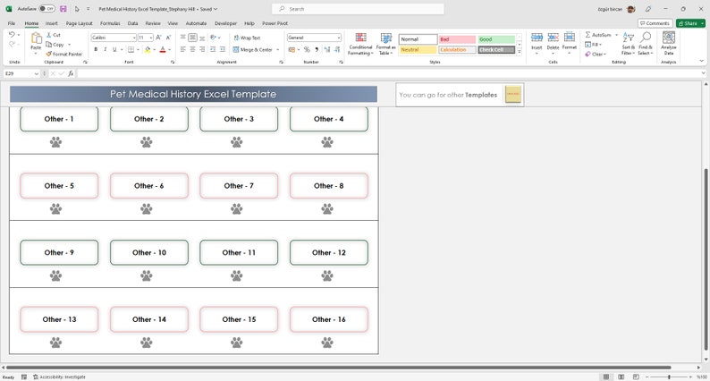 Editable Excel template for pet medical history. Track pet medications, vaccinations, and vet visits in Excel