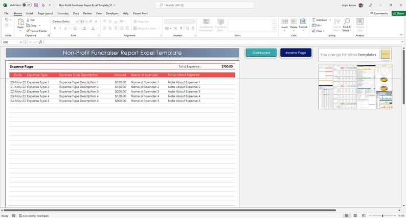 Planilha do Excel para Captação de Recursos de Organizações Sem Fins Lucrativos | Controle de Receitas e Despesas de Eventos Beneficentes imagem 3