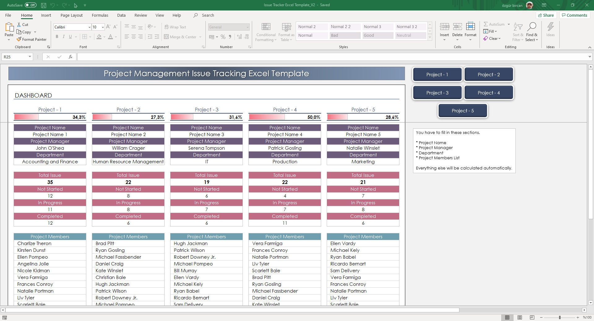 Issue Tracker Excel Template – Project Management & Bug Log - Etsy