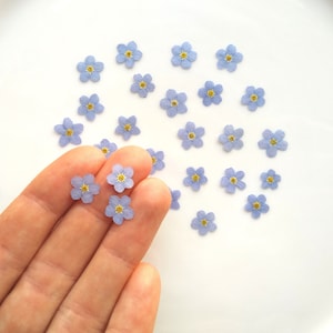 Pressed Forget me not flowers, dried, small blue natural flowers, wildflowers for crafts, epoxy resin, 25/50/100 pcs