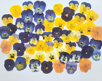 30 pcs Real, dried pressed pansies, violas set for crafting, herbarium flowers, resin jewelry, decoration