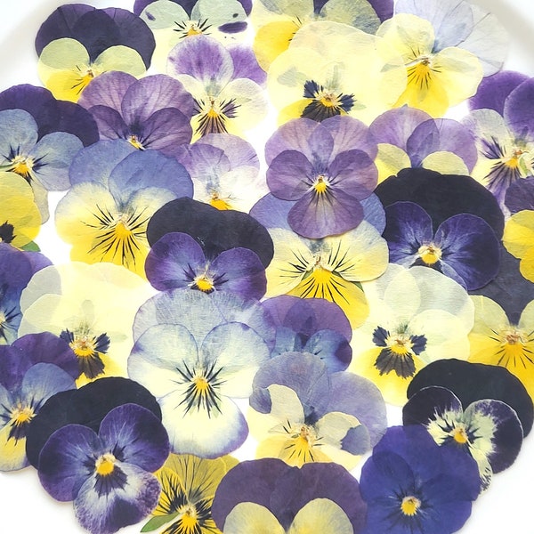 40/80 pcs (3-4cm), Pressed flowers,Edible Pansies, real dried viola, set of multicolored pansy for resin, craft projects, invitations, decor