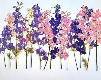 Pressed Dried Flowers For Resin art, DIY Floral Craft Material for Botanical Wall decor, Greeting Cards, Long Stem Blooms, 15 pcs