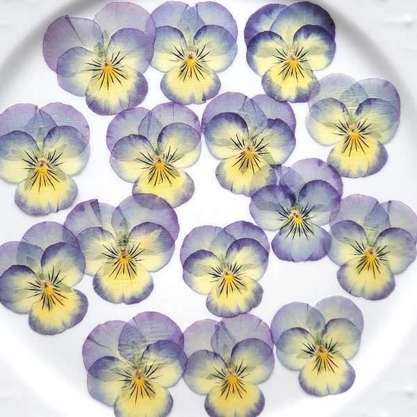 Pressed Pansies, Flower set for Decorating cakes, Lollipops, Cookies, Cocktail garnish and other crafts projects, Natural flowers, 15 pcs