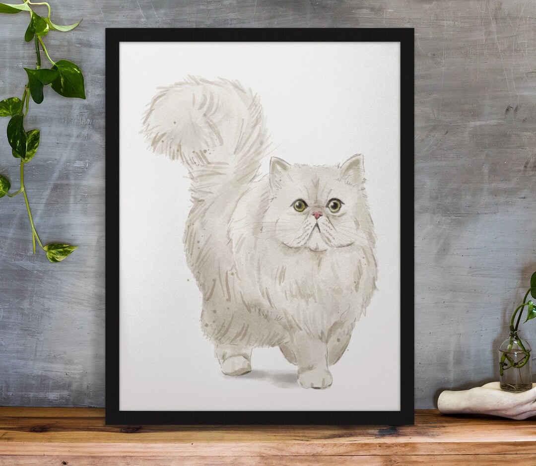 Persian Cat on White – Art Print | Cat Lover's Poster | Cat Poster ...