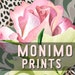 MoNimo