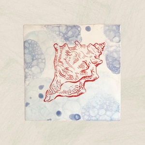 Conch Rustikt kök och badrum Portugisiskt kakel / Portugisiskt kakel / Heminredning