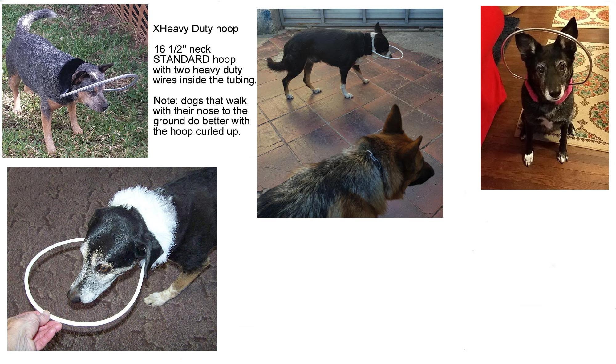 Blind Dog Bumper Collar 16 1/2 Neck Black Fur With Etsy