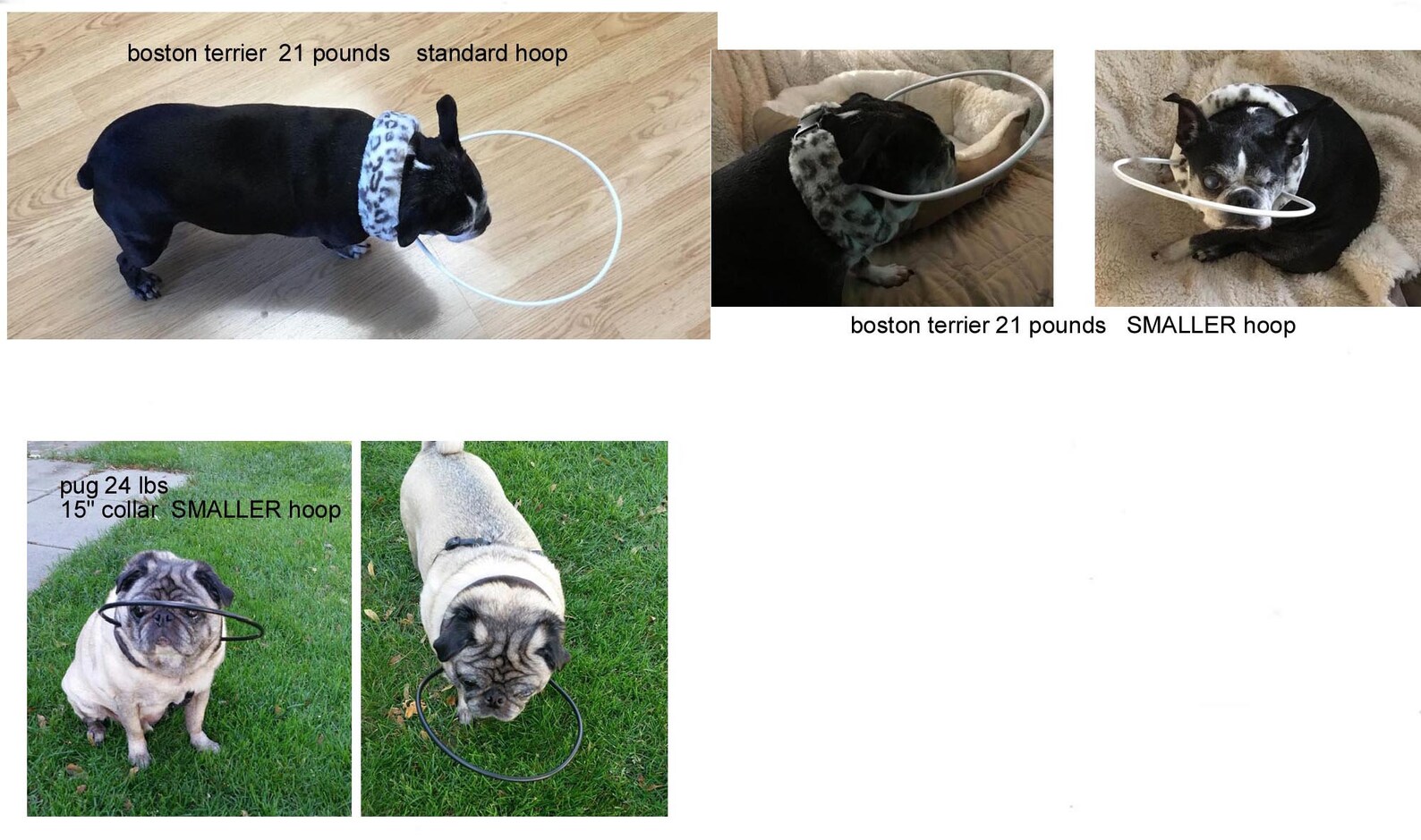 Blind Dog Bumper Collar 15 Neck Forest Green Fur With Etsy UK